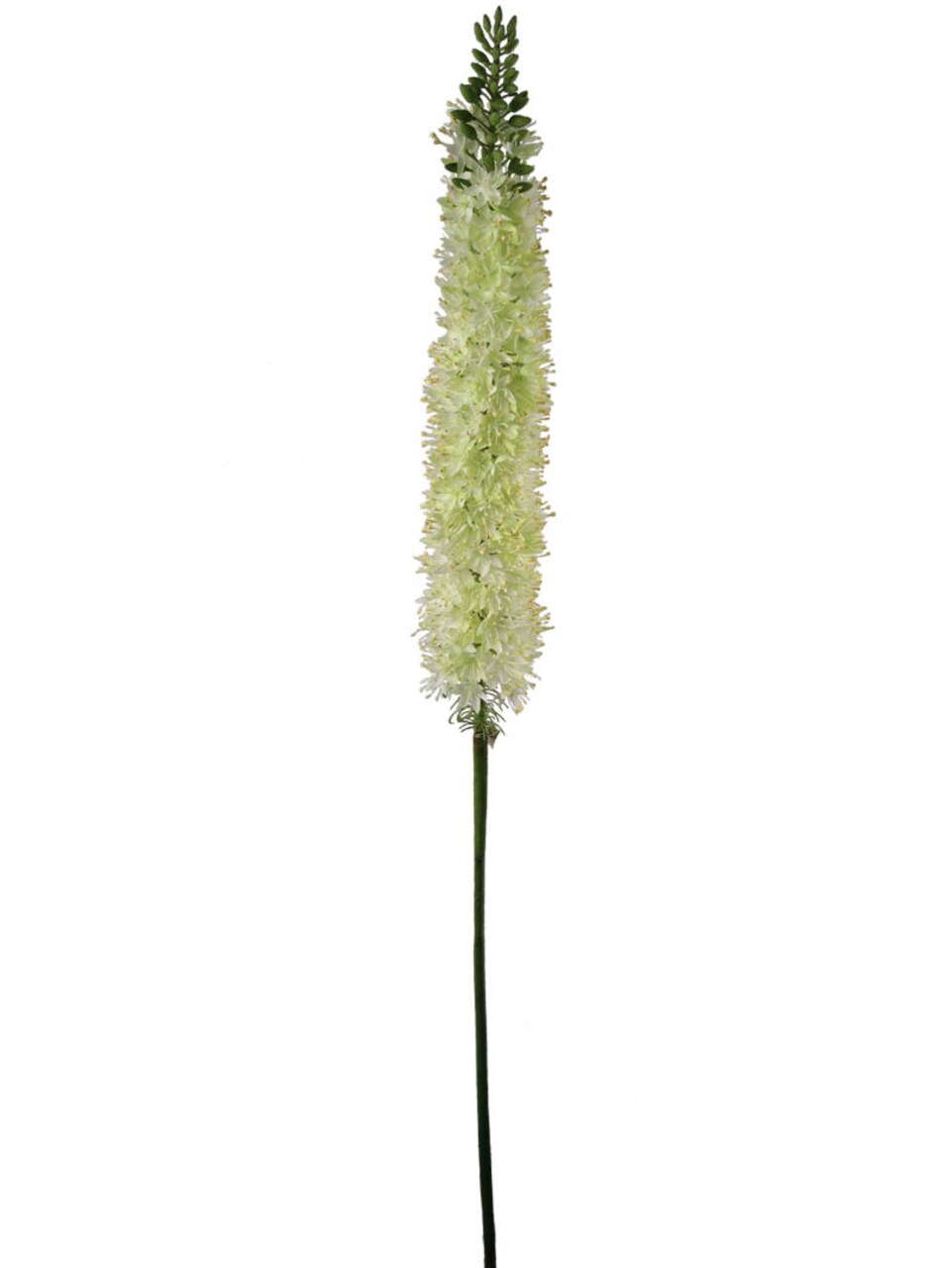 Green Foxtail Spray - 6-Pack, Silk Flowers, Lifelike Greenery, Ideal for Floral Arrangements, Home & Event Décor - Perfect for All Seasons, Floral Home by Artificial Flowers